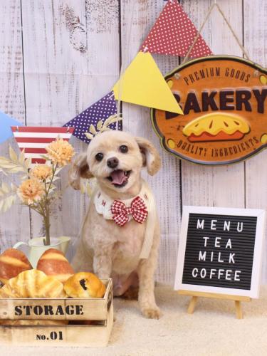 20240907ブランくん